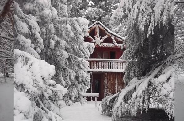Sycamore Avenue Treehouses & Cottages Accommodation Windy Exterior photo